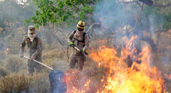 Goiás lança chamada pública para projetos que visam prevenir incêndios no Cerrado